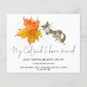 Flyer PAPEL Engraçado Meu Gato Eu Mudei O Script Para