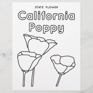 Flyer papoila-de-flor do estado da califórnia