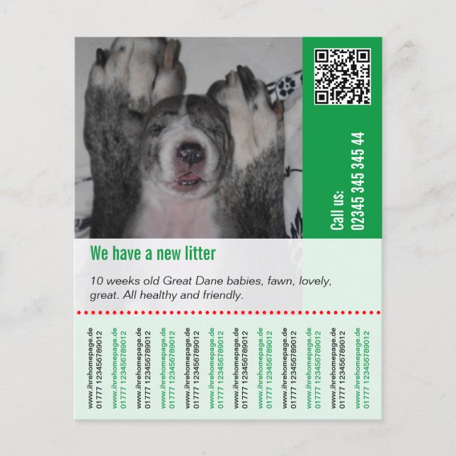 Flyer Para vender Filhotes (Frente)