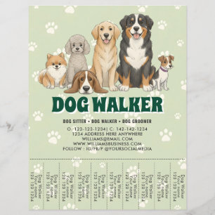 Flyer Passeador de Cães de Pet Sitting Promocional Verde