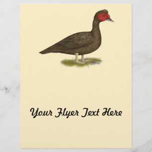 Flyer Pato Moscovo Chocolate