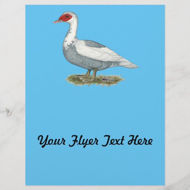 Flyer Pato-Pico Azul Muscovy (Frente)