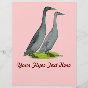 Flyer Patos Correntes Azuis