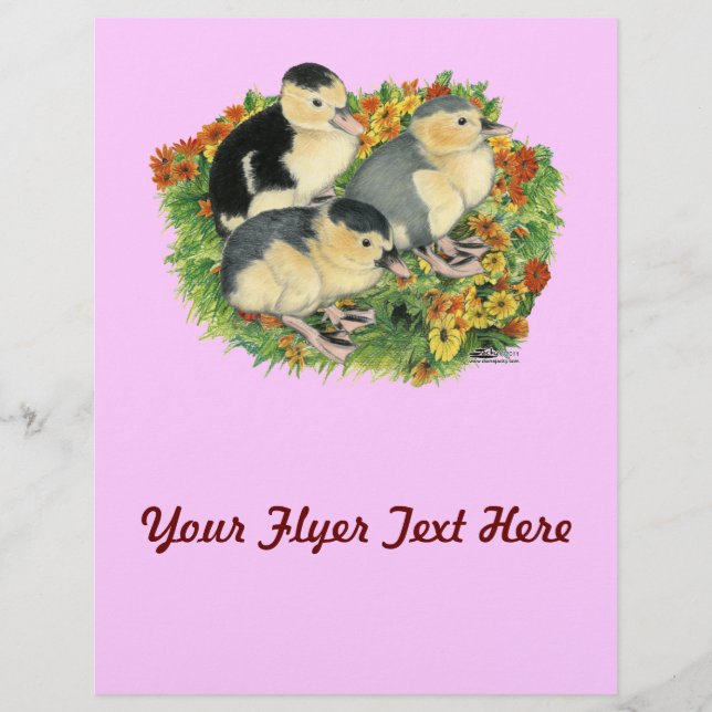 Flyer Patos de Jardim Flor (Frente)