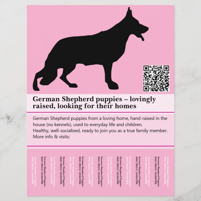Flyer personalizado do Cão Pastor Minimal (Frente)