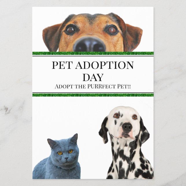 Flyer Pet Adotion Day (Frente)