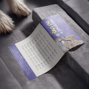 Flyer Pet Care Sentando Banho Alinhando Gato Salão