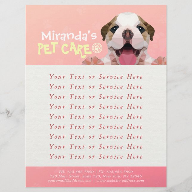 Flyer Pet Care Sitting Bathing Grooming Salon Comida Com (Frente)