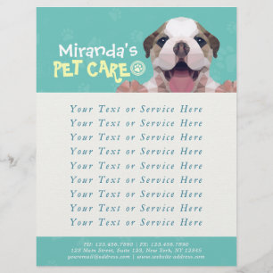 Flyer Pet Care Sitting Bathing Grooming Salon Comida Com