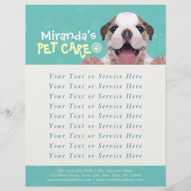 Flyer Pet Care Sitting Bathing Grooming Salon Comida Com (Frente)