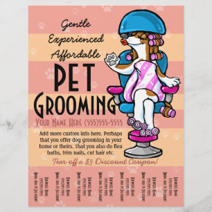 Flyer Pet Grooming. Folha de Rasgos de Promocional perso