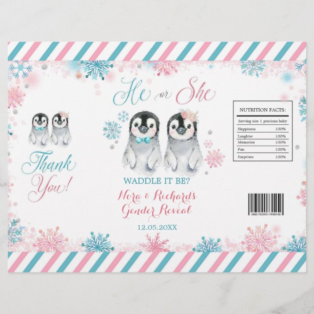 Flyer Pinguim Inverno Sexo Reveal Chip Bag Wrapper (Frente)