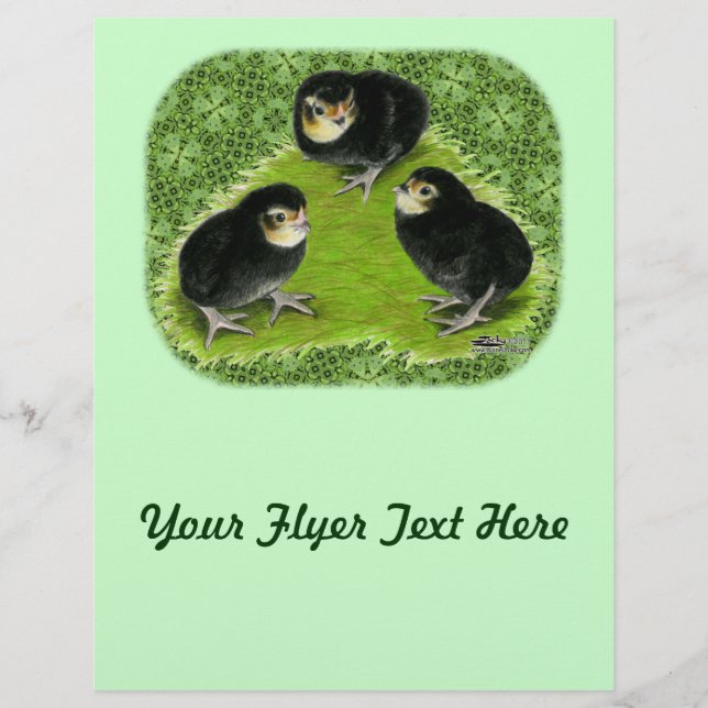 Flyer Pintinhos Bantam no Jardim (Frente)