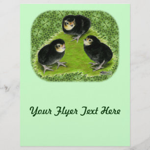 Flyer Pintinhos pequenos no jardim