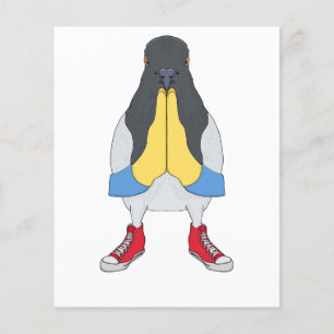 Flyer Pombo com Sapatos