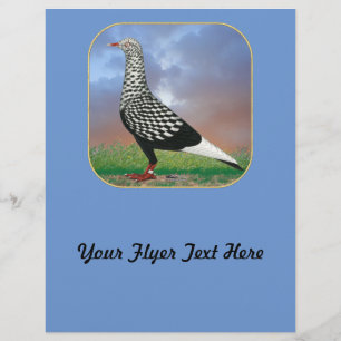 Flyer Pombo de Voo Voador e Nuvens