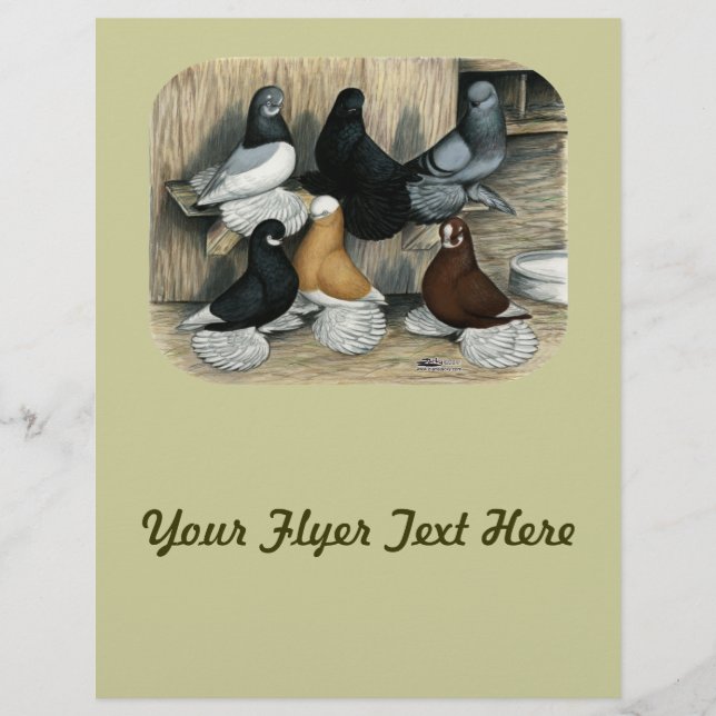 Flyer Pombos-Tumbler Malgados (Frente)