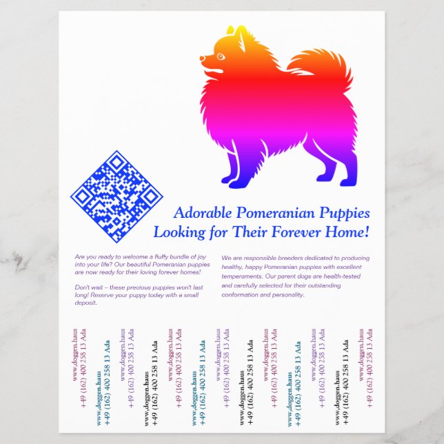 Flyer Pomeranian Puppies  (Frente)