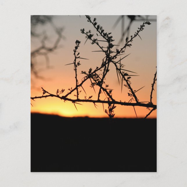 Flyer pôr do sol africano (Frente)