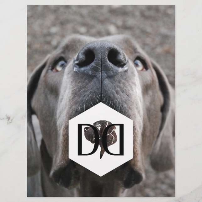Flyer Pôster de Criador de Great Danes (Frente)
