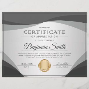 Flyer Prêmio de Certificado de Apreciação Profissional