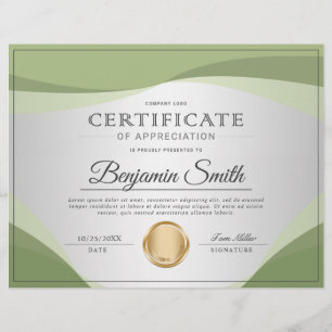 Flyer Prêmio de Certificado de Apreciação Profissional