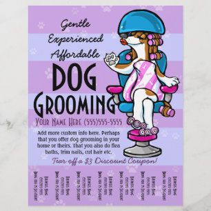 Flyer Preparação do cão. Folha de rasgo relativa à