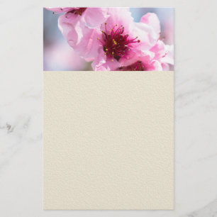 Flyer Primavera florescendo