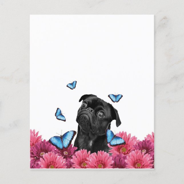 Flyer Pug Gerbera Butterflies | Cachorro Negro (Frente)