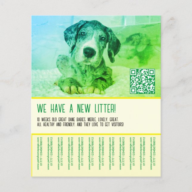 Flyer Puppy para vender modelo (Frente)