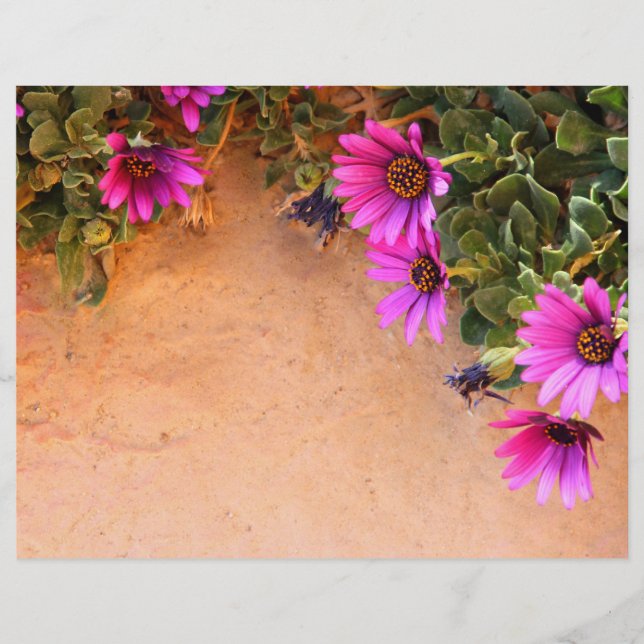 Flyer Quadro de flores (Frente)