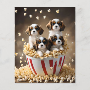 Flyer Quads Cavalier Spaniel Puppies Na Pipoca,
