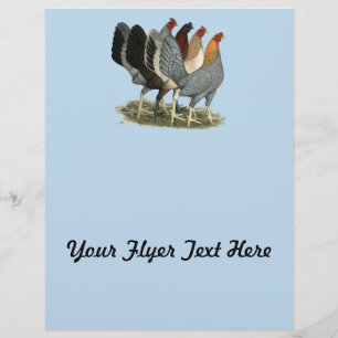 Flyer Quatro Galinhas Gamefowl