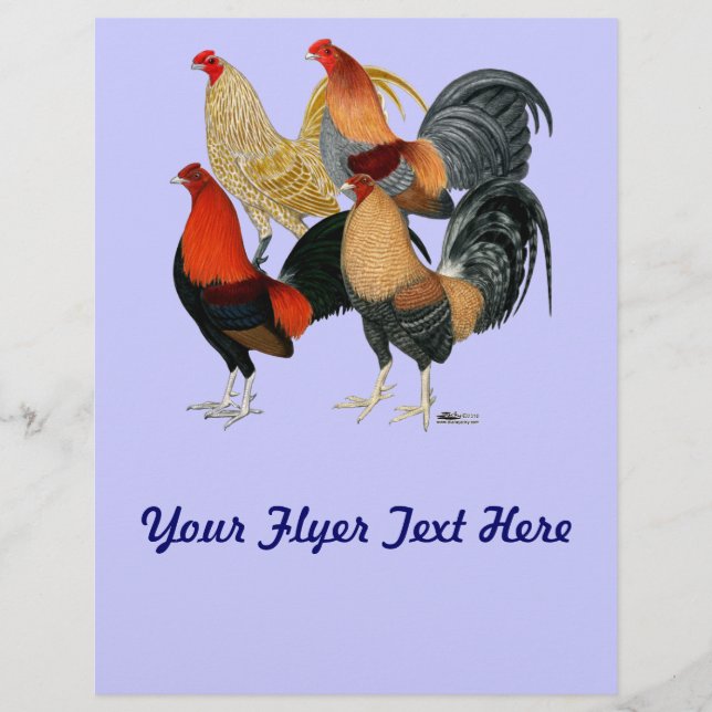Flyer Quatro Gamecocks (Frente)