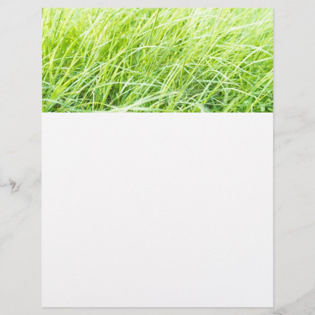 Flyer relva verde (Frente)