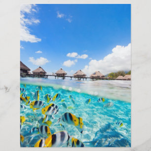 Flyer resort SPA