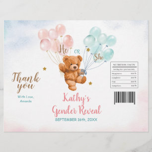 Flyer Revelação de Gênero do Urso Rosa Azul Embrulho de 