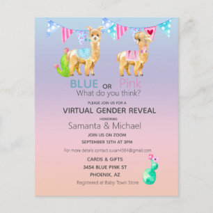 Flyer Revelação de Gênero Virtual Pink Blue Llama Aquare