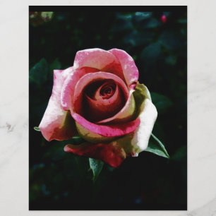 Flyer Rosa vermelha pintada com óleo