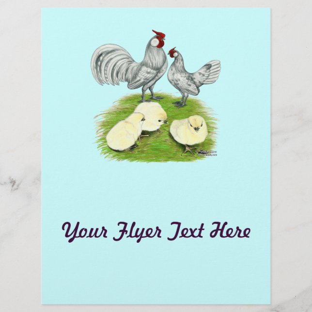 Flyer Rosecomb Bantams e pintinhos (Frente)