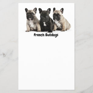 Flyer Rótulo de Cachorros Franceses