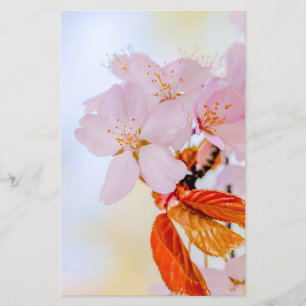 Flyer Sakura - flor de cereja japonesa