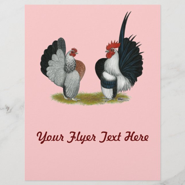 Flyer Serama Bantams (Frente)