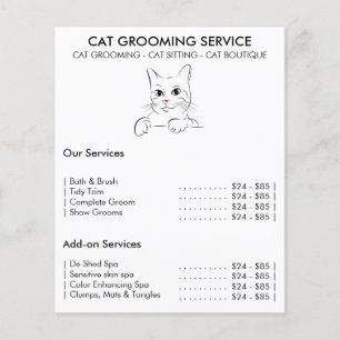 Flyer Serviço de embelezamento de gatos moderno
