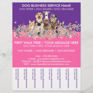 Flyer Serviço de passeio de cães de raças rosa néon roxo