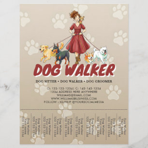 Flyer Serviço Personalizado de Cuidado de Animais e Pass