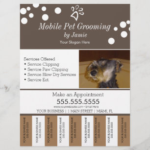 Flyer Serviços de Pet Cuidados Higiênicos Tiras de Rasgo