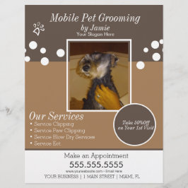 Flyer Serviços de Pet Grooming Foto de Cachorro