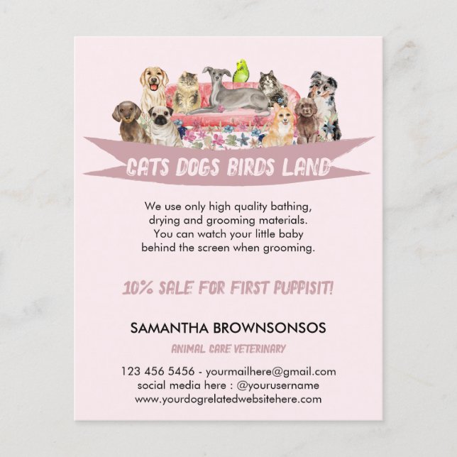 Flyer Serviços de Pet Sitter | Cachorro Gato Pássaro | S (Frente)
