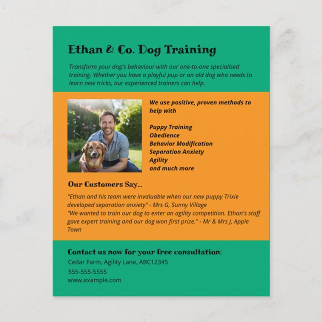 Flyer Serviços de Treinamento de Cães Laranja Verde Bril (Frente)